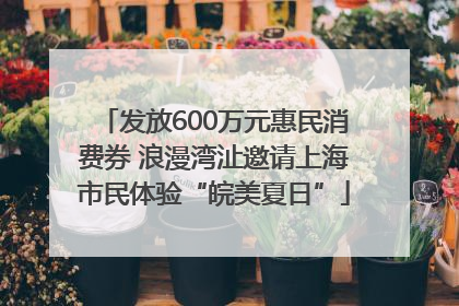发放600万元惠民消费券 浪漫湾沚邀请上海市民体验“皖美夏日”