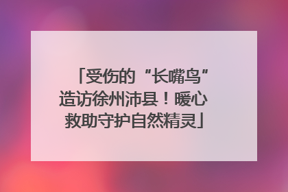 受伤的“长嘴鸟”造访徐州沛县！暖心救助守护自然精灵