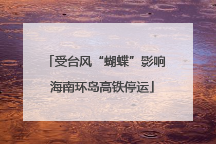 受台风“蝴蝶”影响 海南环岛高铁停运