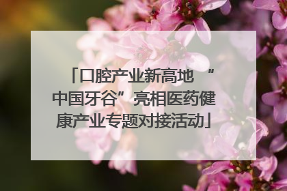 口腔产业新高地 “中国牙谷”亮相医药健康产业专题对接活动