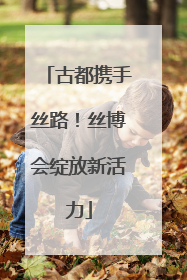 古都携手丝路！丝博会绽放新活力