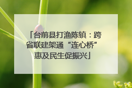 台前县打渔陈镇：跨省联建架通“连心桥” 惠及民生促振兴