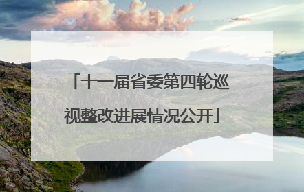十一届省委第四轮巡视整改进展情况公开