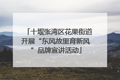 十堰张湾区花果街道开展“东风故里育新风”品牌宣讲活动