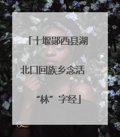 十堰郧西县湖北口回族乡念活“林”字经