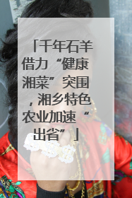 千年石羊借力“健康湘菜”突围，湘乡特色农业加速“出省”