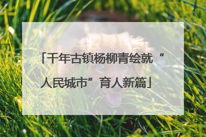 千年古镇杨柳青绘就“人民城市”育人新篇