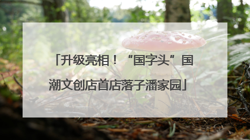 升级亮相！“国字头”国潮文创店首店落子潘家园
