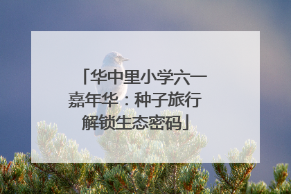 华中里小学六一嘉年华：种子旅行解锁生态密码