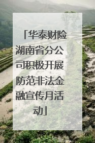 华泰财险湖南省分公司积极开展防范非法金融宣传月活动