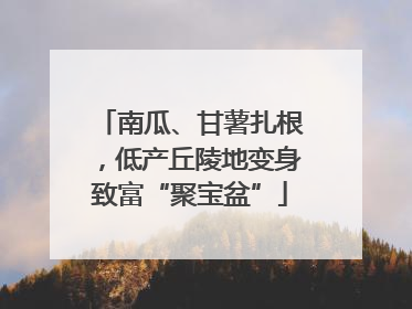 南瓜、甘薯扎根，低产丘陵地变身致富“聚宝盆”