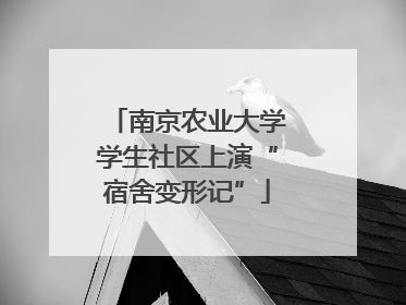 南京农业大学学生社区上演“宿舍变形记”