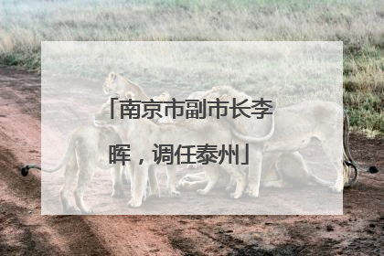 南京市副市长李晖，调任泰州