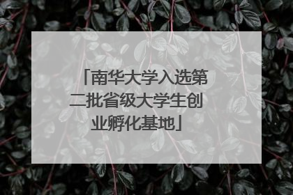 南华大学入选第二批省级大学生创业孵化基地