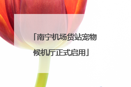 南宁机场货站宠物候机厅正式启用