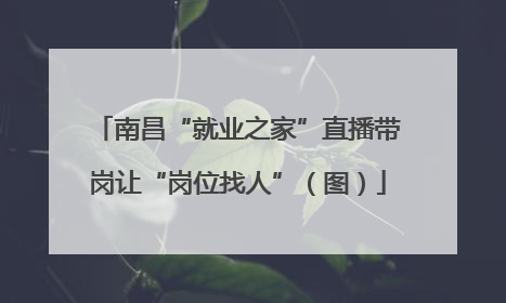 南昌“就业之家”直播带岗让“岗位找人”（图）
