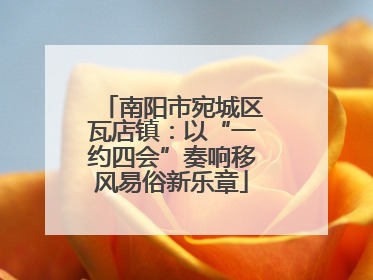 南阳市宛城区瓦店镇：以“一约四会”奏响移风易俗新乐章
