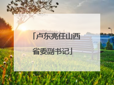 卢东亮任山西省委副书记