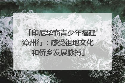 印尼华裔青少年福建漳州行：感受祖地文化和侨乡发展脉搏