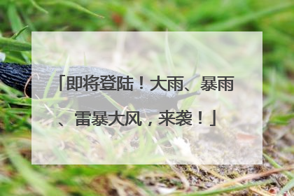 即将登陆！大雨、暴雨、雷暴大风，来袭！