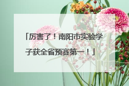 厉害了！南阳市实验学子获全省预赛第一！