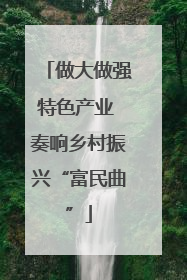 做大做强特色产业 奏响乡村振兴“富民曲”