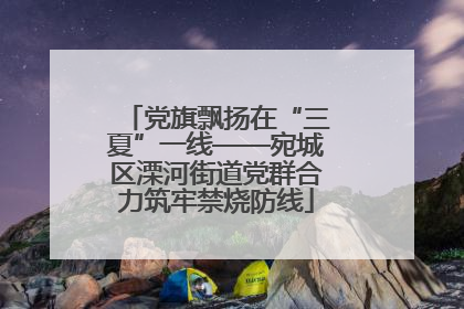党旗飘扬在“三夏”一线——宛城区溧河街道党群合力筑牢禁烧防线