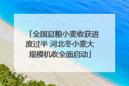 全国夏粮小麦收获进度过半 河北冬小麦大规模机收全面启动