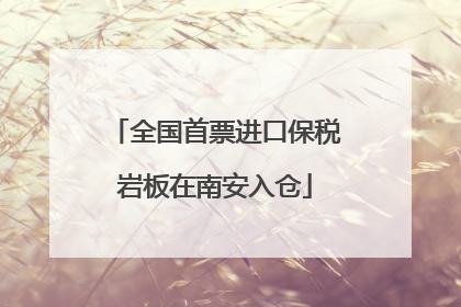 全国首票进口保税岩板在南安入仓