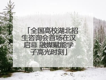 全国高校湖北招生咨询会首场在汉启幕 融媒赋能学子高光时刻