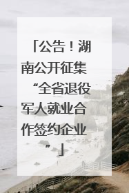公告！湖南公开征集“全省退役军人就业合作签约企业”