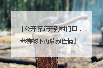 公开听证开到村门口，老柳树下再续叔侄情