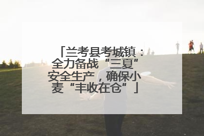兰考县考城镇：全力备战“三夏”安全生产，确保小麦“丰收在仓”
