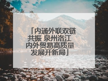 内通外联双链共振 泉州洛江内外贸易高质量发展开新局