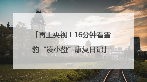 再上央视！16分钟看雪豹“凌小蛰”康复日记