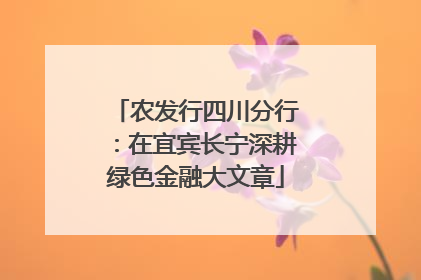 农发行四川分行：在宜宾长宁深耕绿色金融大文章