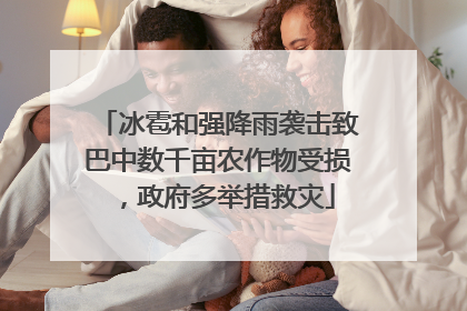 冰雹和强降雨袭击致巴中数千亩农作物受损，政府多举措救灾