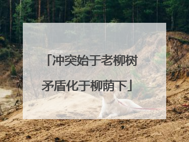 冲突始于老柳树 矛盾化于柳荫下