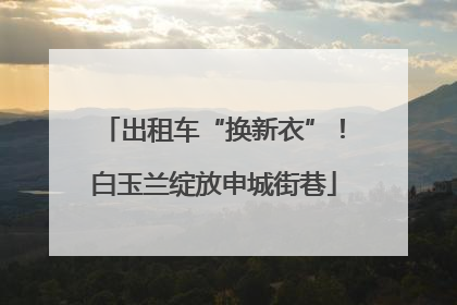 出租车“换新衣”！白玉兰绽放申城街巷