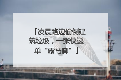 凌晨路边偷倒建筑垃圾，一张快递单“露马脚”