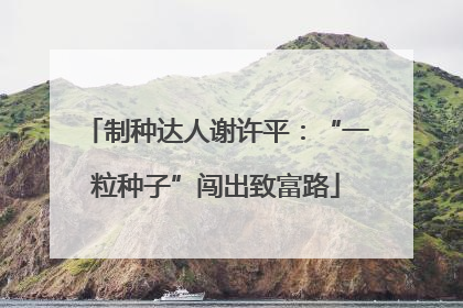 制种达人谢许平：“一粒种子”闯出致富路