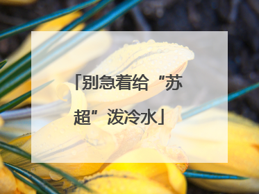 别急着给“苏超”泼冷水