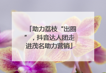 助力荔枝“出圈”，抖音达人团走进茂名助力营销