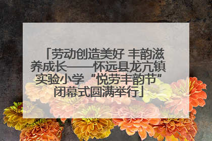 劳动创造美好 丰韵滋养成长——怀远县龙亢镇实验小学“悦劳丰韵节”闭幕式圆满举行