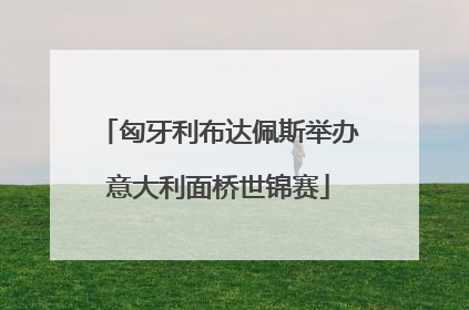 匈牙利布达佩斯举办意大利面桥世锦赛
