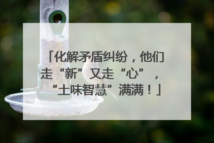 化解矛盾纠纷，他们走“新”又走“心”，“土味智慧”满满！