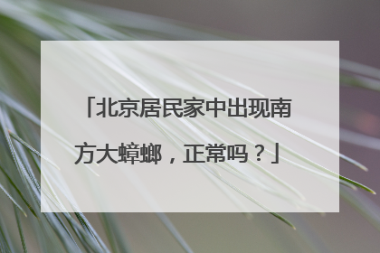 北京居民家中出现南方大蟑螂，正常吗？