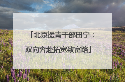 北京援青干部田宁：双向奔赴拓宽致富路