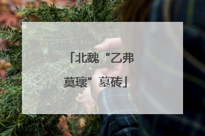 北魏“乙弗莫瓌”墓砖