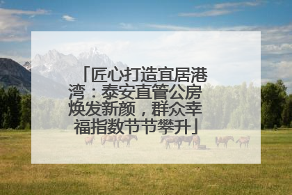 匠心打造宜居港湾：泰安直管公房焕发新颜，群众幸福指数节节攀升